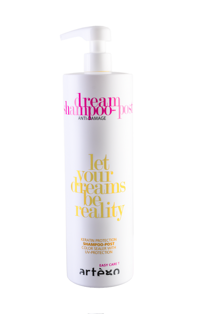 DREAM SHAMPOO POST