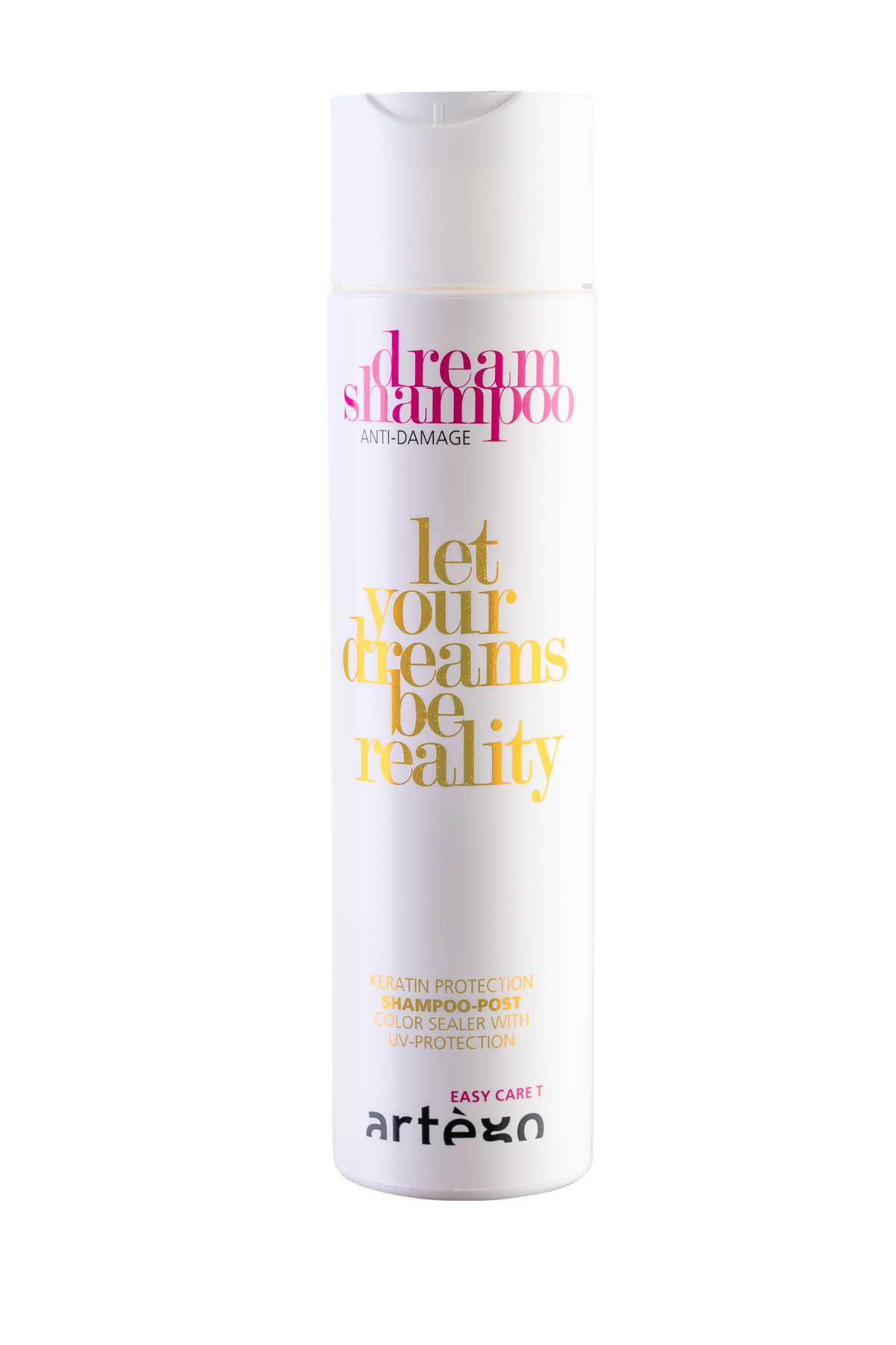 DREAM SHAMPOO POST