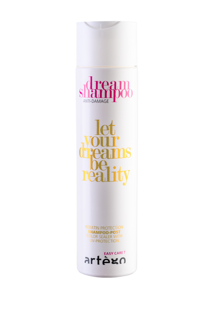DREAM SHAMPOO POST